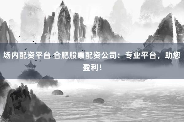 场内配资平台 合肥股票配资公司：专业平台，助您盈利！