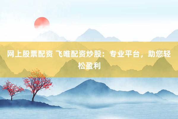 网上股票配资 飞唯配资炒股：专业平台，助您轻松盈利