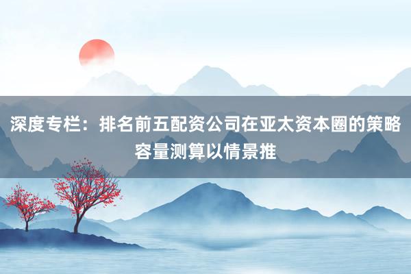 深度专栏：排名前五配资公司在亚太资本圈的策略容量测算以情景推